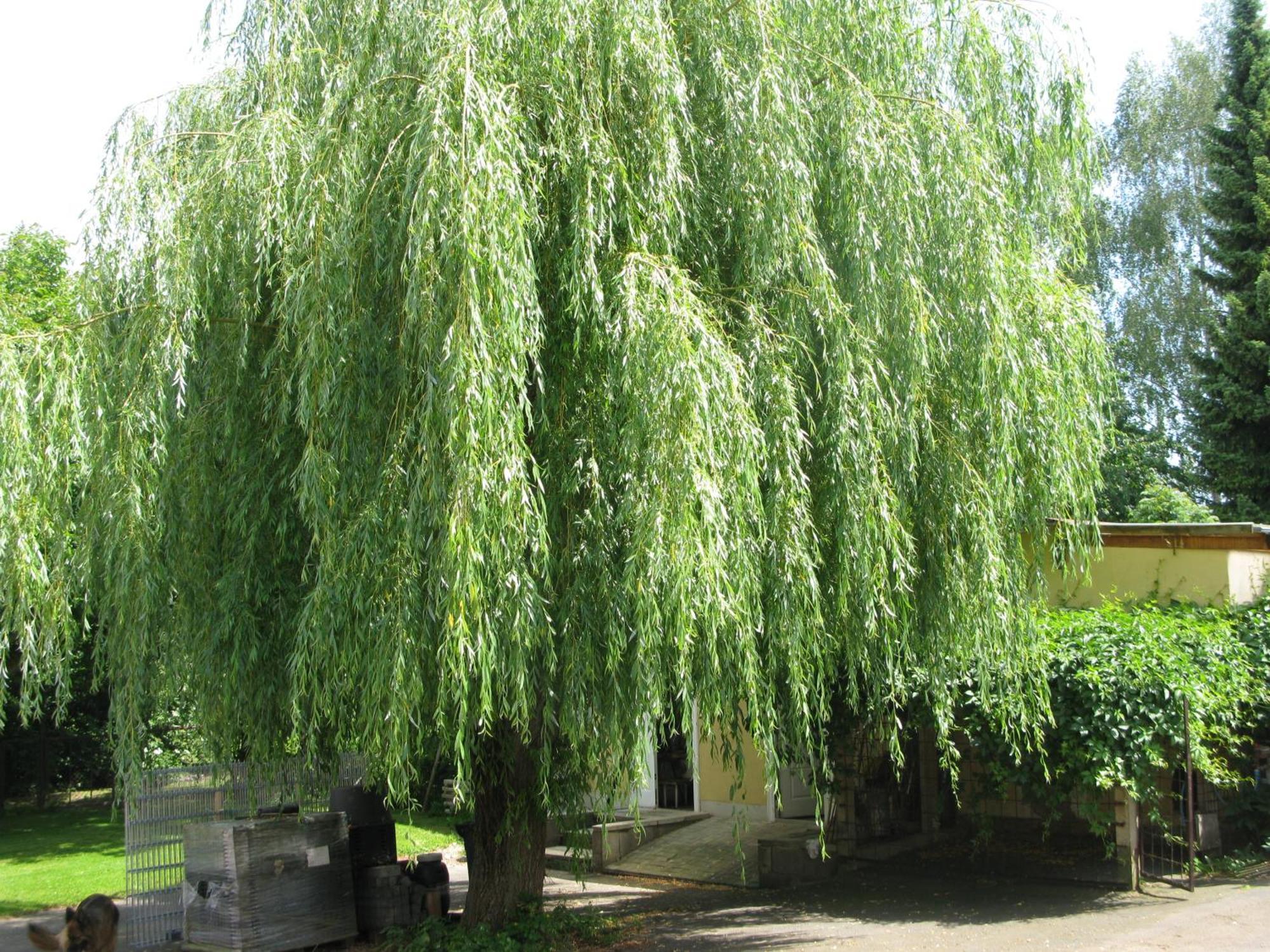 Fewo Weidenhof Grosschwabhausen Exterior foto